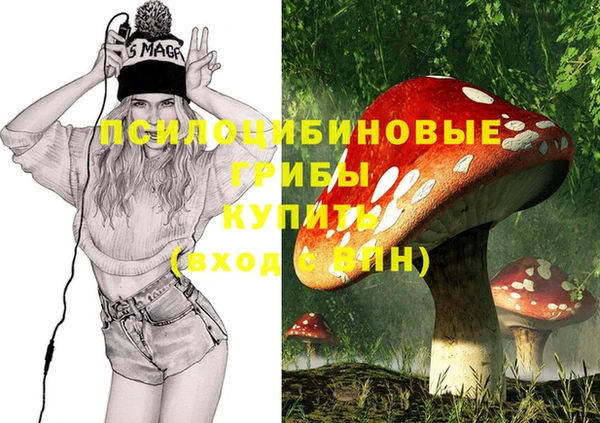гашик Карпинск