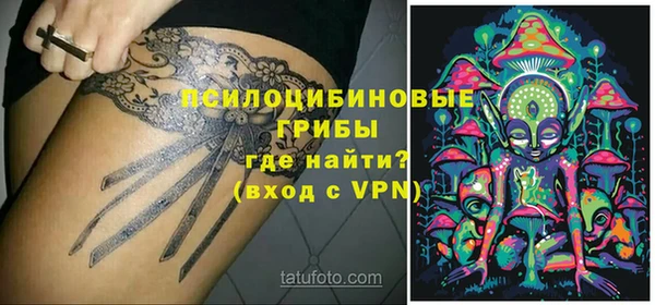 a pvp Корсаков